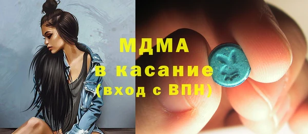 гашик Алексин
