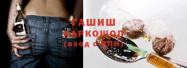 гашик Алексин