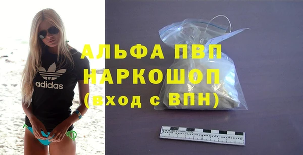 гашик Алексин