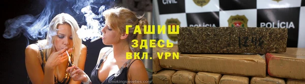 гашик Алексин