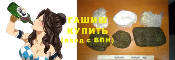 гашик Алексин