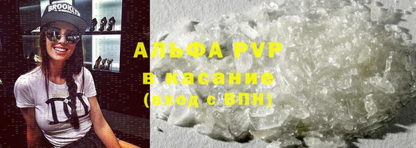гашик Алексин