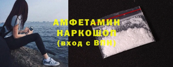 гашик Алексин