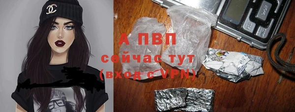 гашик Алексин